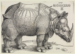 Rhinocerus (Das Rhinozeros)