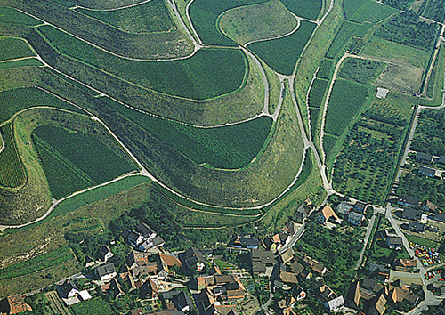 Weinanbauterrassen am Kaiserstuhl bei Vogtsburg-Oberrotweil - Quelle LMZ BW