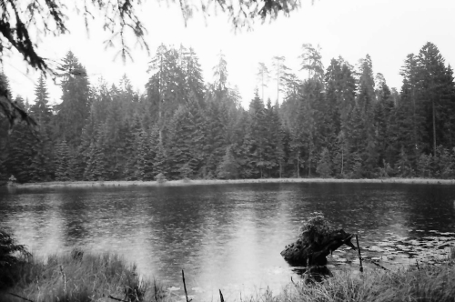 Der Herrenwieser See, 1966 - Quelle LABW