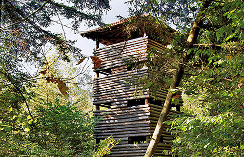 Rekonstruierter Wachtturm im Hardtwald bei Eppingen. Copyright: LABW 
