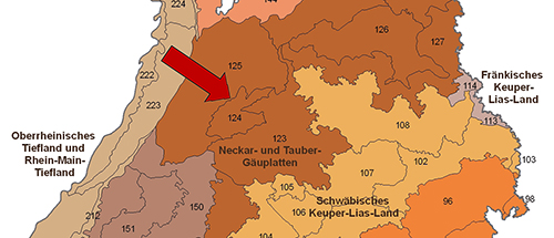 Strom-und Heuchelberg in der Großlandschaft Neckar- und Tauber-Gäuplatten - Quelle LUBW