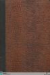 Die Handschriften der Badischen Landesbibliothek in Karlsruhe, Reichenauer Handschriften : Die Pergamenthandschriften / beschrieben und erläutert von Alfred Holder