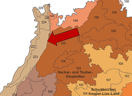 Die Hardtebenen in der Großlandschaft Oberrheinisches Tiefland und Rhein-Main-Tiefland - Quelle LUBW