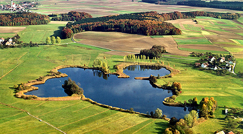 Der Olzreuter See bei Bad Schussenried - Quelle LMZ BW