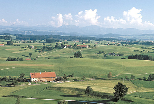 Die Siggener Höhe bei Argenbühl, im Hintergrund die Alpen - Quelle LMZ BW