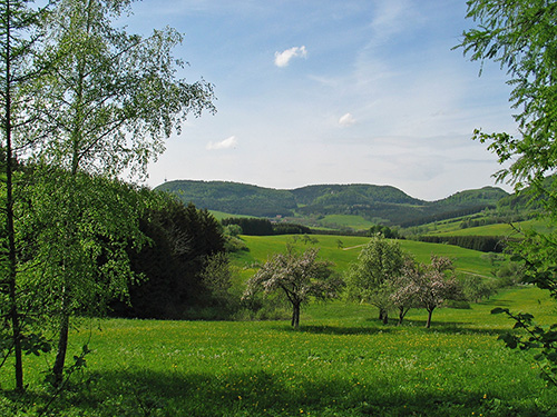 Der Schafberg im Landschaftsschutzgebiet Großer Heuberg - Quelle LMZ BW