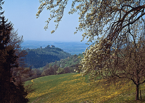 Der Welzheimer Wald bei Althütte-Sechselberg - Quelle LMZ BW