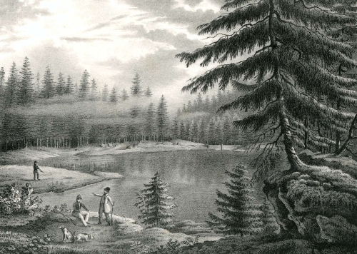 Der Glaswaldsee, hier noch unter der Bezeichnung Wildsee, auf einer Ansicht aus der ersten Hälfte des 19. Jh. Quelle LABW
