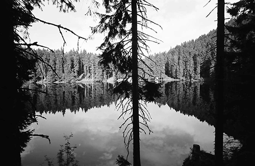 Der Glaswaldsee nahe der heutigen Gemeinde Bad Rippoldsau-Schapbach im Jahr 1961 - Quelle LABW