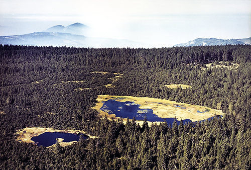 Großer und kleiner Hohlohsee, 1961 - Quelle LMZ BW