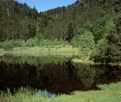 Der Sankenbachsee, ein 1890/81 wieder aufgestauter Karsee - Quelle LMZ BW