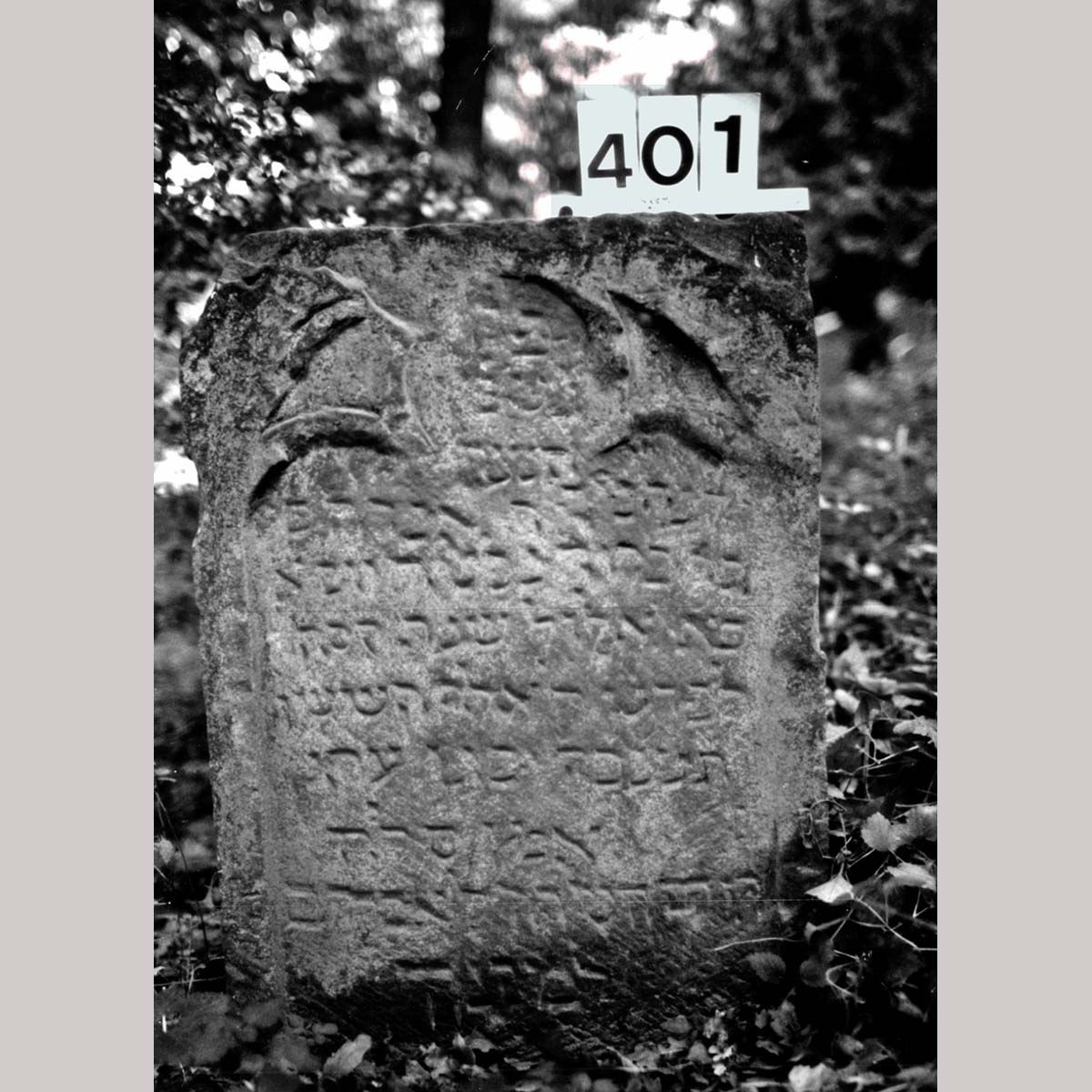 Der älteste Grabstein auf dem jüdischen Friedhof Wertheim für den am 16. August 1405 verstorbenen Jungen Abraham, Sohn des Baruch. Vorlage: Landesarchiv BW, StAL EL 228 b II Nr. 51758. Zum Vergrößern bitte klicken.