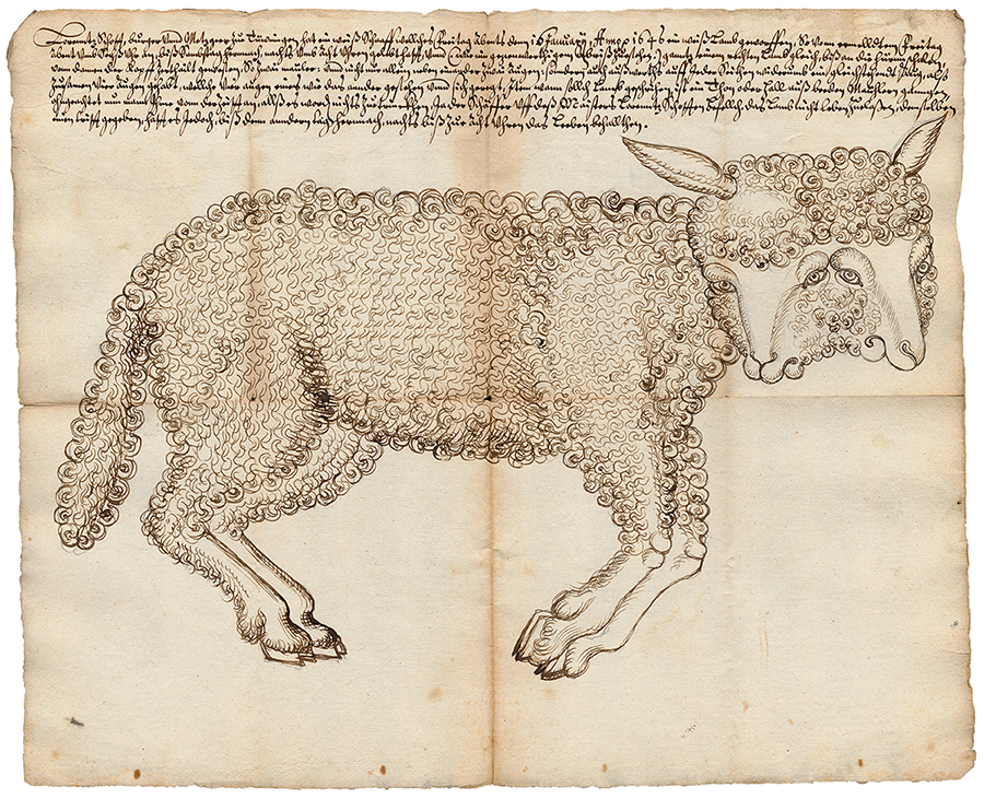 Doppelköpfiges Lamm in Tübingen, 1646. Federzeichnung 33 x 40 cm. Vorlage: LABW, HStAS A 202 Bü 2821 Qu. 46. Zum Vergrößern bitte klicken.