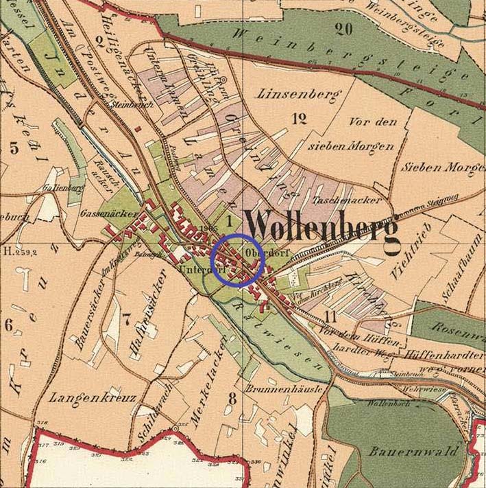 Wollenberg