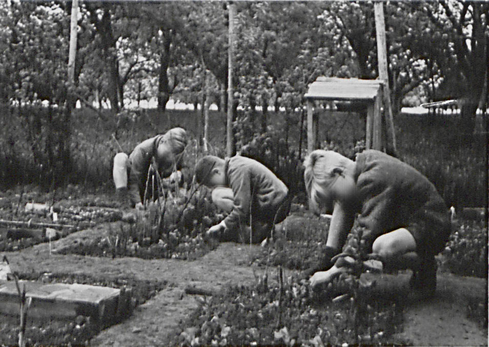 Jungen bei der Gartenarbeit in der Knabenheimschule Kleinglattbach [Quelle: Landesarchiv BW] . Aus rechtlichen Gründen wurden die Gesichtszüge der abgebildeten Personen anonymisiert. Zum Vergrößern bitte klicken.