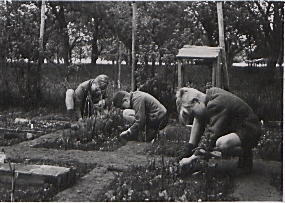 Jungen bei der Gartenarbeit in der Knabenheimschule Kleinglattbach [Quelle: Landesarchiv BW] . Aus rechtlichen Gründen wurden die Gesichtszüge der abgebildeten Personen anonymisiert. Zum Vergrößern bitte klicken.