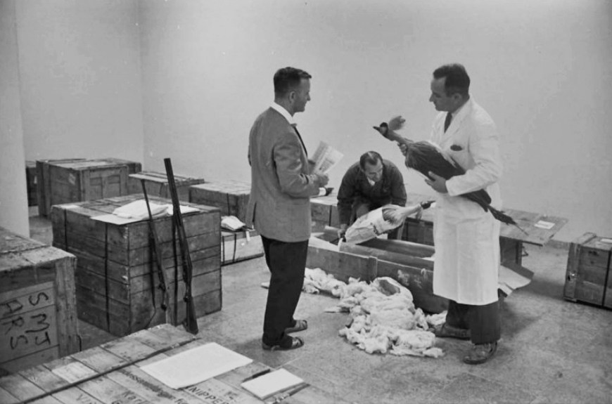 Dr. Helmut Knipper (rechts) beim Auspacken im August 1963, in der Hand einen ausgestopften Kronenkranich, Quelle: Stadtarchiv Karlsruhe 8/BA Schlesiger A10/73/6/5A