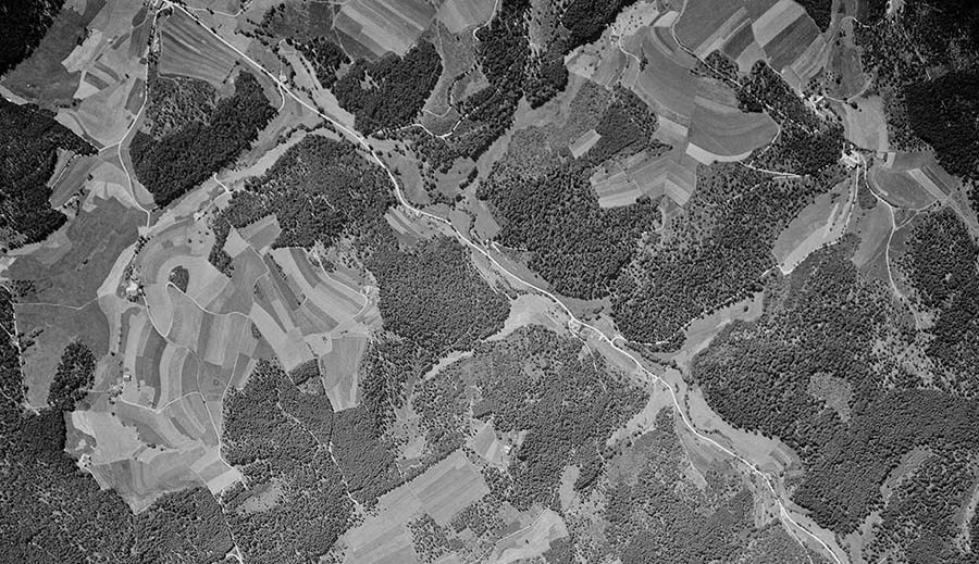  Senkrechtaufnahme aus einem Bildflug für die Forstdirektion Tübingen zwischen Calw und Hirsau, 1952, (Quelle: Landesarchiv BW, StAS Wü 160 T 5 Nr. 1 Bild 1)