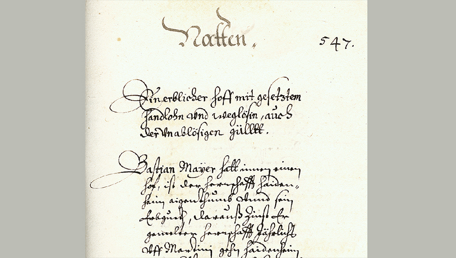 Lagerbuch der württembergischen Kellerei Heidenheim, Eintrag Nattheim, 1557, (Quelle: Landesarchiv BW, HStAS H 101 Bd. 629 S. 547v)