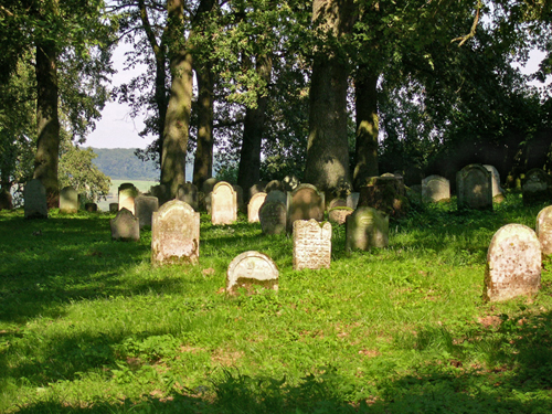 Bild des jüdischen Friedhofs in Schöntal-Berlichingen