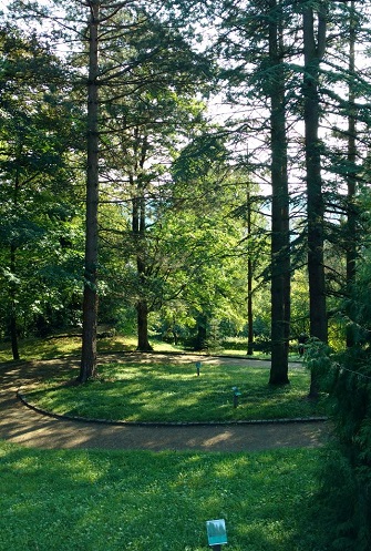 Arboretum in Esslinen