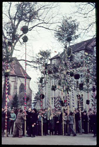 Hohe Palmstangen mit kugeligem Buschwerk zum Palmsonntag in Kirchzarten 1956. [Quelle: Badisches Landesmuseum, Bildarchiv BA 91/1967]
