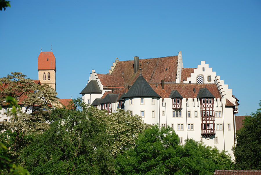 Blumenfeld mit Schloss [Quelle: Gemeinde Tengen]