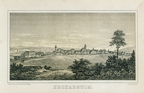 Neckarsulm 1881