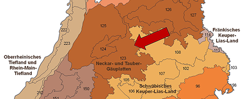 Das Neckarbecken in der Großlandschaft Neckar- und Tauber-Gäuplatten - Quelle LUBW