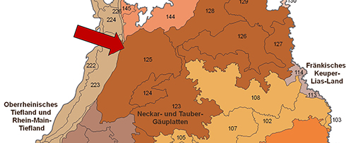 Der Kraichgau in der Großlandschaft Neckar- und Tauber-Gäuplatten - Quelle LUBW