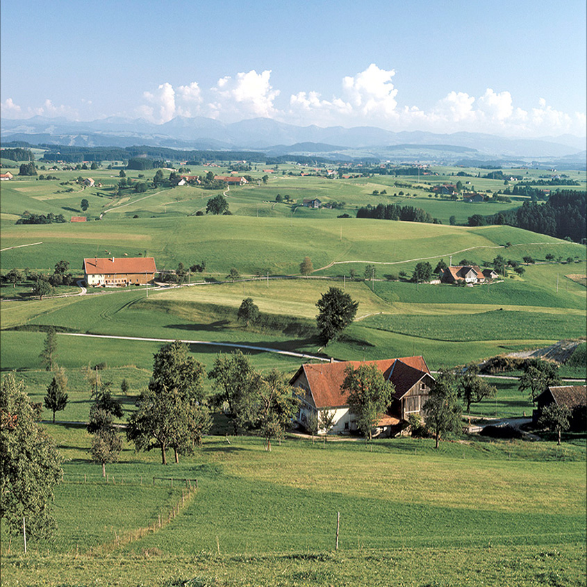 Westallgäuer Hügelland