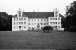 Kißlegg: Schloss (Berufsschule) vom Park aus, ohne Vordergrund, Bild 1