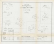 Lithographischer Plan über den Privatwald des Josef Huber in Litzelstetten, Bild 1