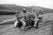 Kappel: Einbringen der Ernte mit Wagen, Schwarzwald