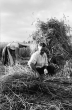 Bollschweil: Bauern beim [Getreide]bündeln; Hintergrund Schönberg, Bild 1