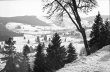 Falkau: Fernblick auf Altglashütten von Falkau, Bild 2