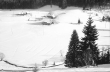 Falkau: Hang mit Schwarzwaldhäusern im Schnee, Bild 1