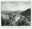Das Kloster Lichtenthal vom Cäcilienberg hinter der Mühle, Bild 1