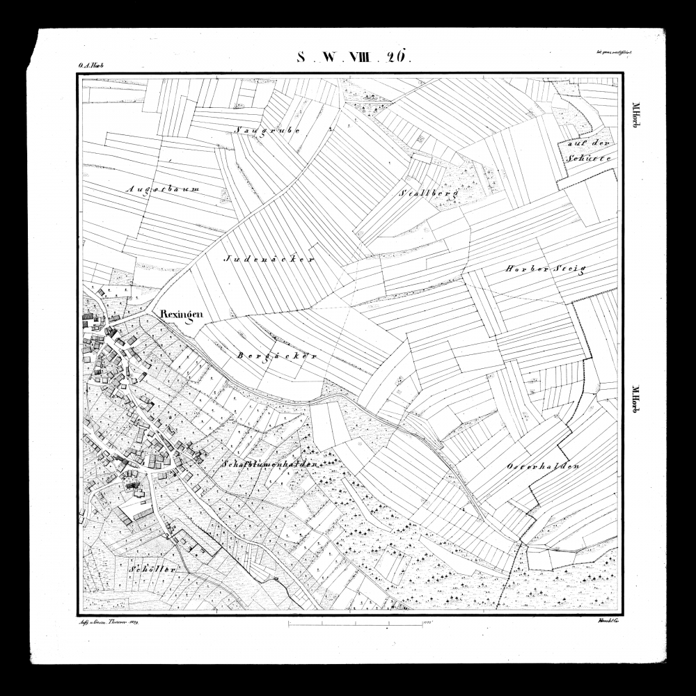 Kartenblatt SW VIII 26 Stand 1829 (Ihlingen, Rexingen)