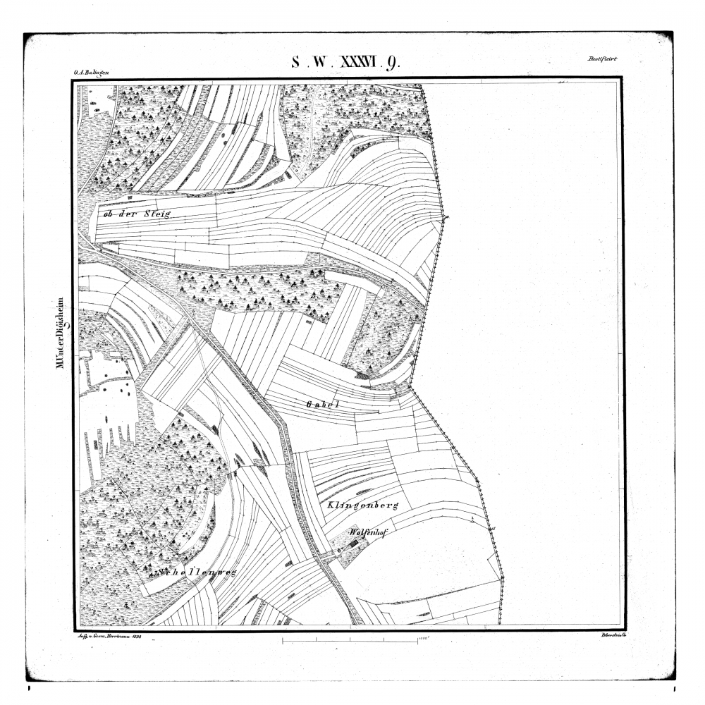 Kartenblatt SW XXXVI 9 Stand 1838 (Hartheim, Unterdigisheim, Wolfenhof, Meßstetten)