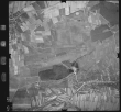 Luftbild: Film 2 Bildnr. 291: Ölbronn-Dürrn