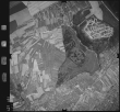 Luftbild: Film 3 Bildnr. 223: Karlsruhe