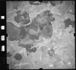 Luftbild: Film 66 Bildnr. 32: Kißlegg
