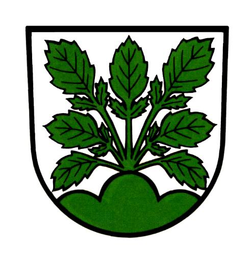 Wappen von Hasel