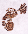 Medusa-Mosaik [Quelle: Landesmuseum Württemberg]