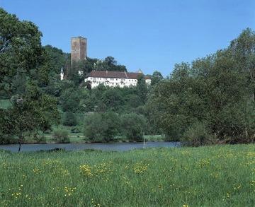 Burg Ehrenberg bei Heinsheim 1996