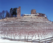 Burg Neipperg bei Brackenheim im Winter 1997