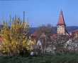 Haberschlacht bei Brackenheim im Frühling 1997
