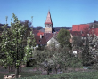 Haberschlacht bei Brackenheim im Frühling 1997