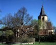 Meimsheim: 1000jährige Linde mit Kirche 1994